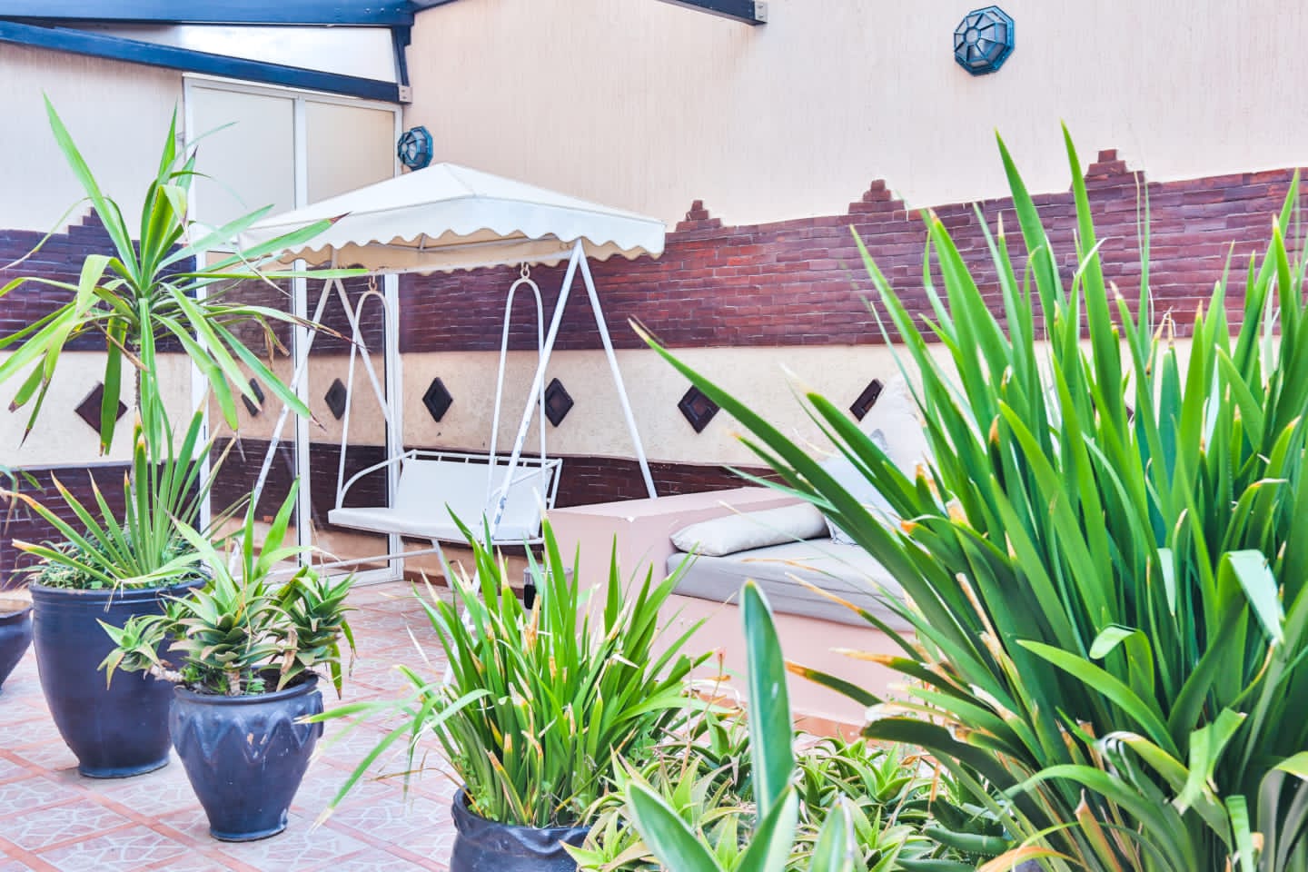 solarium hotel miramar essaouira maroc