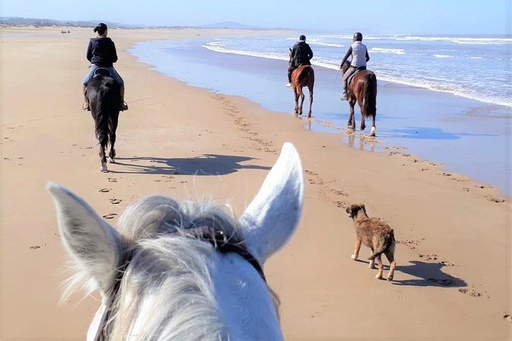 Cheval image 68