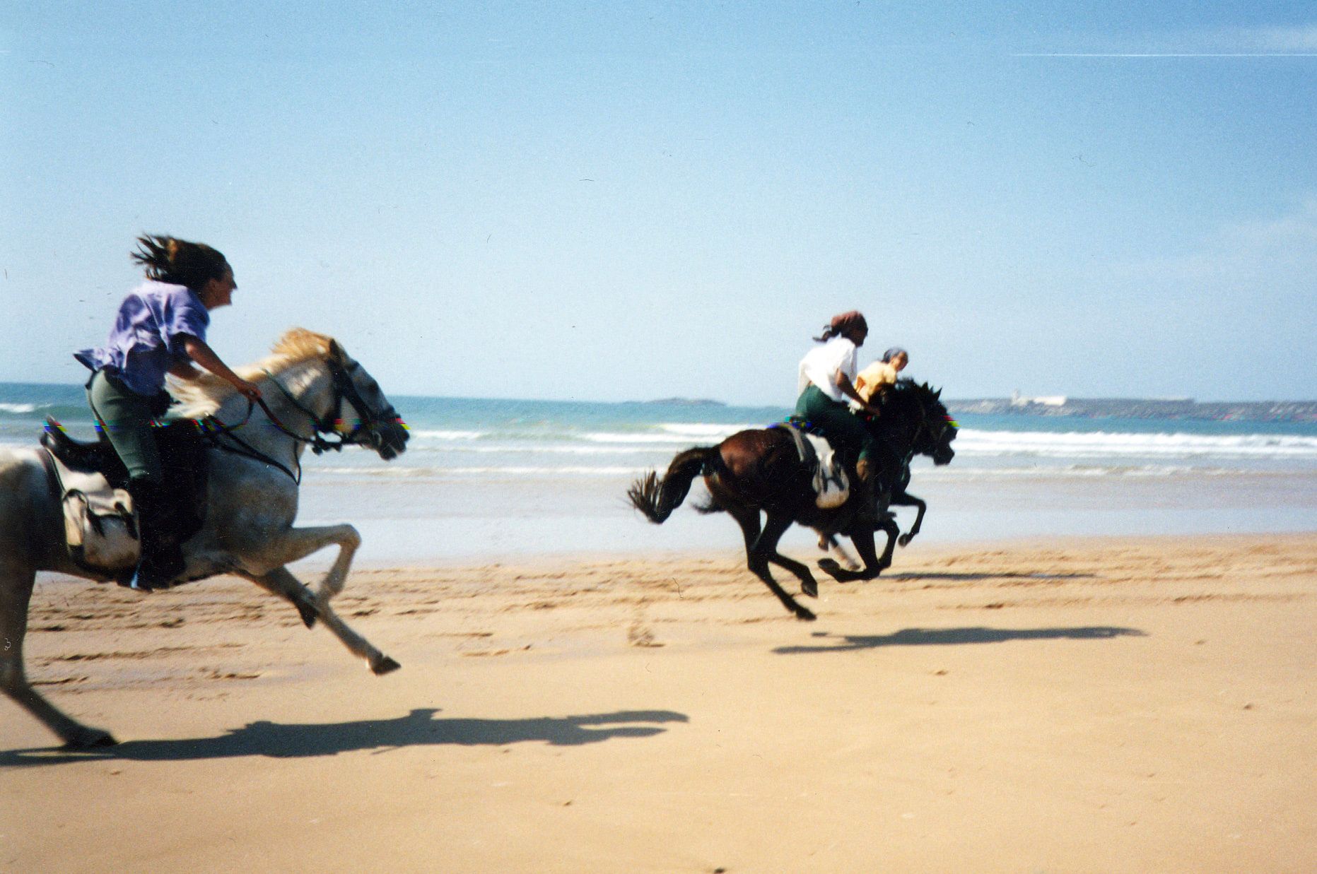 Cheval image 69